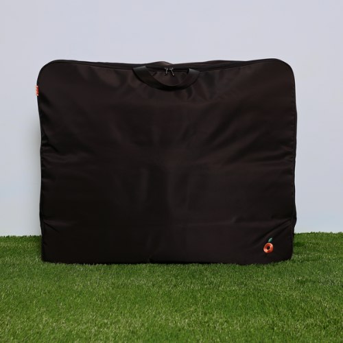 Zoe Twin V3 Stroller Storage Padded Travel Bag
