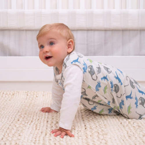 Animal Print Micro-Fleece Swaddle Newborn | HALO