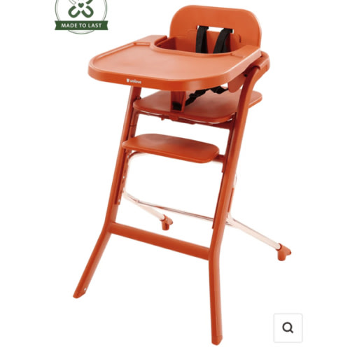 Grow With Me 2-In-1 High Chair