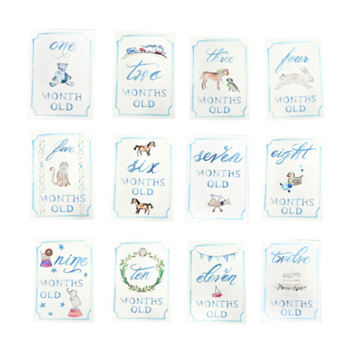 Monthly Milestone Card Set - Blue | Danrie
