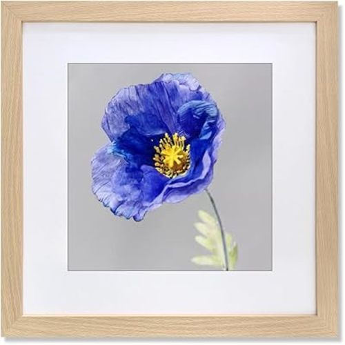 VNVNK 22x22 Frame Natural Wood Color, Perfect for 22x22 Inch Picture without Mat or 18x18 Inch Picture with Mat, Home Wall Decor Picture Frame-1 PCS