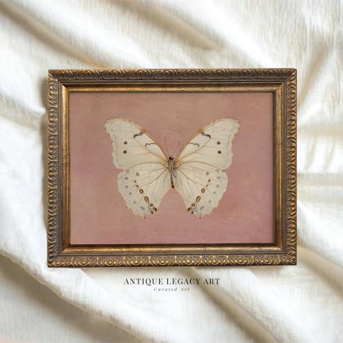 Vintage Pink Butterfly Print , Moody Insect Printable Wall Art, Beige Moth Cottage core Decor, Victorian Neutral Painting, Digital Download