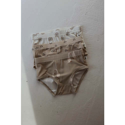 Girl's Bamboo Briefs (3 Pack) | Flora, Silly Goose & Daisy Fields