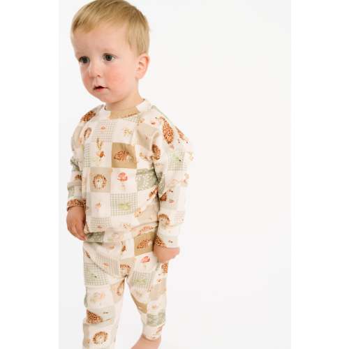 Hedgehog Patchwork Crewneck Set