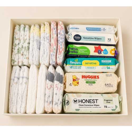 Deluxe Diaper Sampler Box | 48 Size 1 Diapers, 6 Brands, 6 Packs of Wipes
