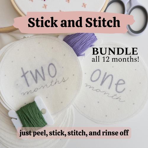 Stick and Stitch Baby Monthly Milestones Hand Embroidery Pattern, newborn baby gift new moms baby shower, nesting party, stocking stuffer
