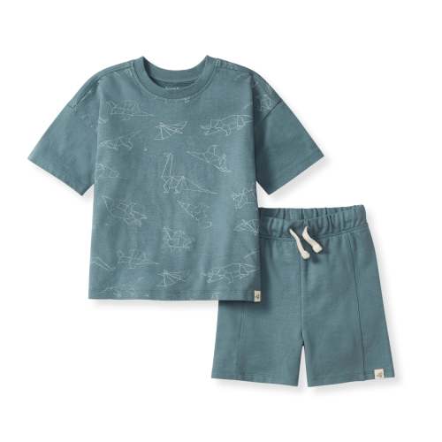 Origami Dinos Boy Tee & Shorts Set – Burt's Bees Baby