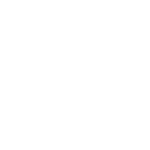 Dex Camera - the Language Learning Camera