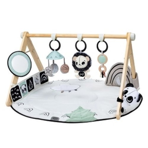 Tiny Love Luxe Developmental Gymini