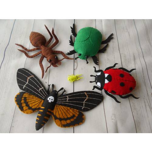 Bugs collection from felt, Realistic beetle toys, Learn nature felted toys, Young naturalist birthday gift, Felt beetles and bugs