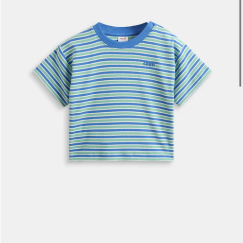 Loose Fit Rib Tee | Mint Stripe | Seed Heritage