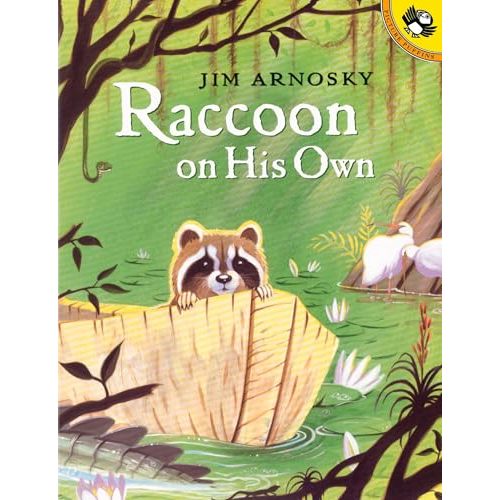Raccoon On His Own (Picture Puffin Books)