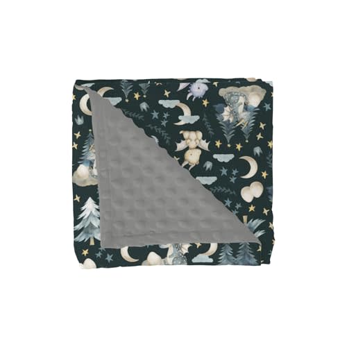 Fairytale Dragons Baby Blankets for Girl Boy Cute Dragon Moon Stars Cloud Trees Eggs Soft Mink with Dotted Backing Double Layer Swaddle Blanket Fantasy Animal Bed Throw for Newborn Toddler Crib 30x40