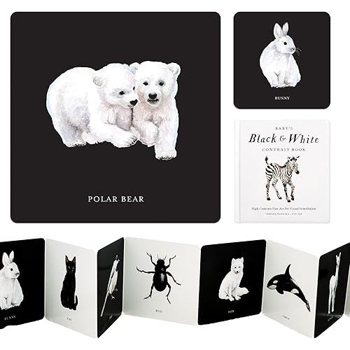 Baby's Black and White Contrast Book: High-Contrast Art for Visual Stimulation at Tummy Time (Tabitha Paige Children's Book Series) Board book – Picture Book, August 1, 2023