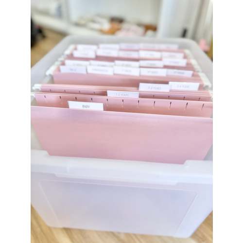 Milestone Tote Organizer- Pink Tabs