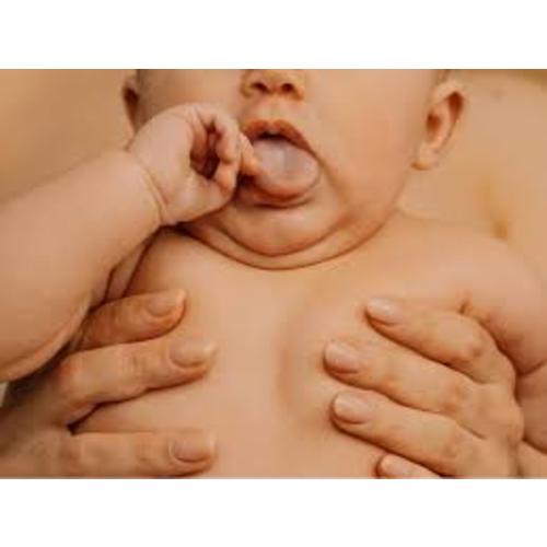 honest diapers - Google Search