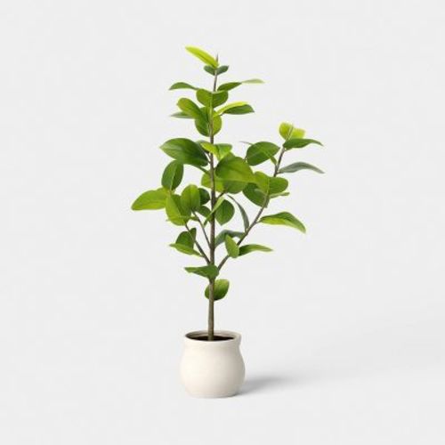 43" Ficus Tree - Threshold™