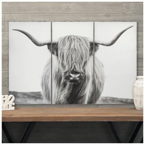Highland Cow Canvas Wall Decor Set