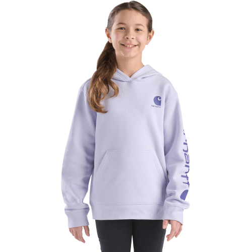 Carhartt Graphic Hoodie for Kids | Cabela's