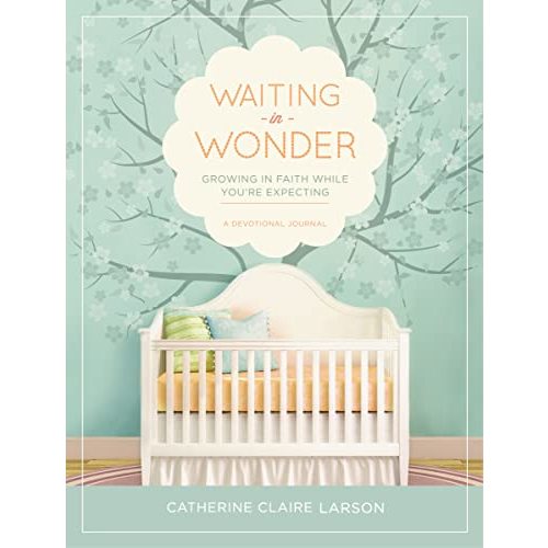 Waiting in Wonder: Growing in Faith While You're Expecting