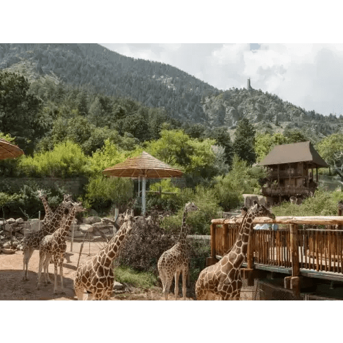 Cheyenne Mountain Zoo Family Membership