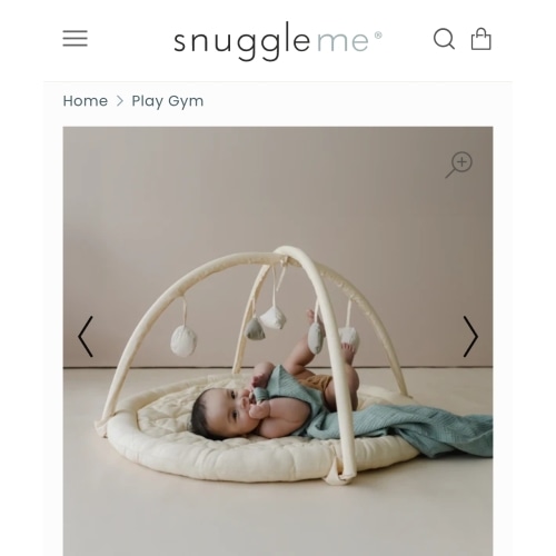Play Gym