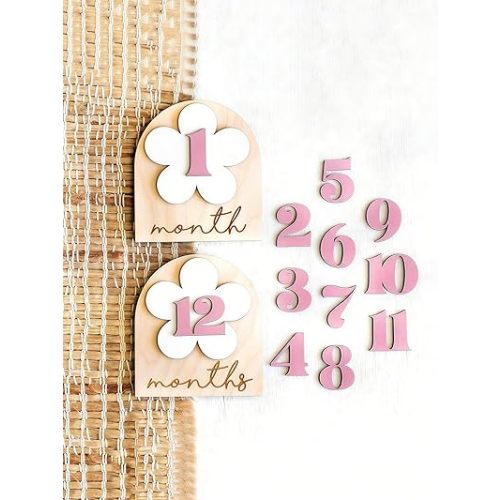 A Set of Baby Monthly Milestone Signs,Newborn 1-12 Months Wooden Milestone Markers, Baby Growth Record Photo Atmosphere Props, Memorial Photo Prop,Babygirl Boy Essentials