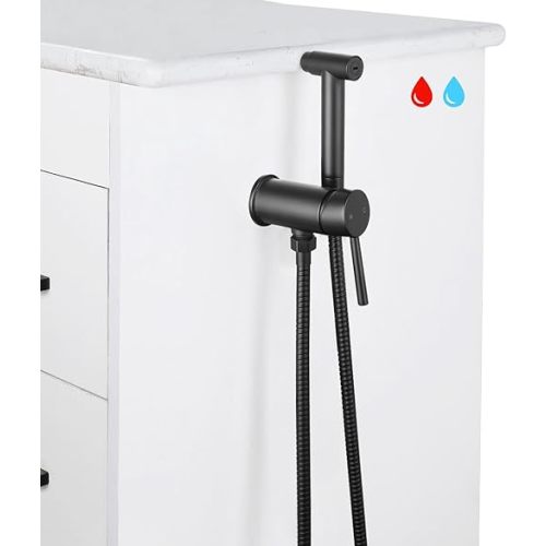 Hot/Cold Bidet Sprayer