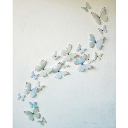 3D Wall Butterflies Princess Blue and Greens