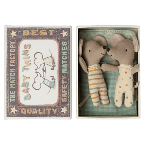 Baby Twins in Box