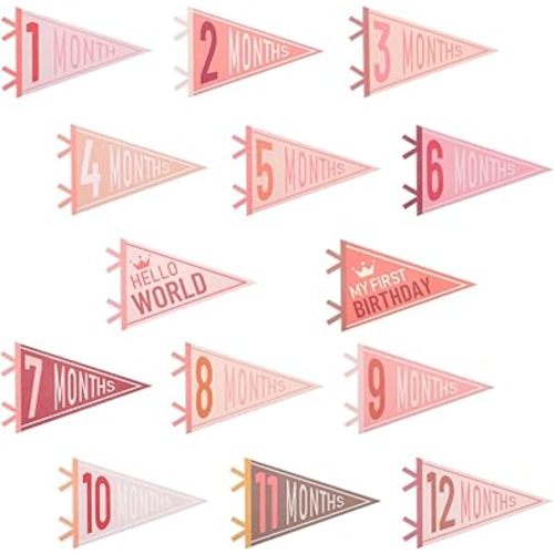 14 Pcs Baby Monthly Milestone Felt Pennant, LIOUCBD Month Baby Milestone Signs, Monthly Milestones Triangle Banners for Boy Girl, Age Milestones Flag Signs for Photos Props &Newborn Birthday Party Decor (Pink)