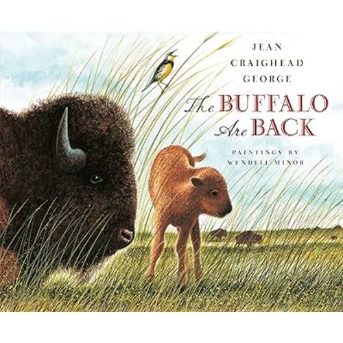 The Buffalo Are Back