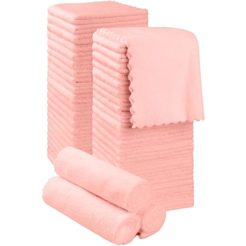 Orighty Ultra Soft Washcloths 48 Pack, Premium Microfiber Towel Sets 12 x 12 inches, Absorbent and Quick Drying Coral Velvet Washcloth, Multi-Purpose Wash Cloths for Bathroom, Hotel, and Gym (Pink)