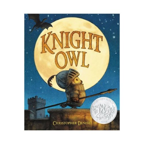 Knight Owl - by Christopher Denise (Hardcover)