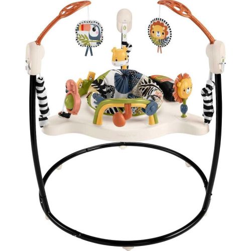 Fisher-Price Baby Bouncer Palm Paradise Jumperoo Activity Center