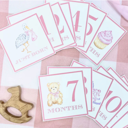 Sir Proper's Month Markers - Palm Beach Pink
