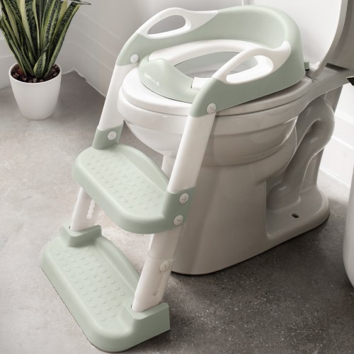Potty Training Seat with 2 Step Ladder
