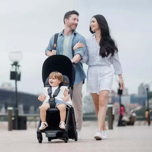 TernX Carry On Luggage Stroller: Best Stroller for Flying