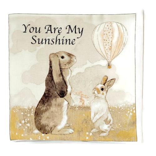 You Are My Sunshine - Soft Cloth Books for Babies, Children, Boys, Girls, Toddler, Kids