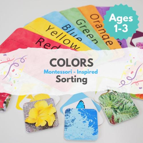 Color Sorting Game - eco friendly, toddler game, real images, Montessori inspired