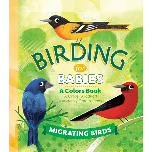 Birding for Babies: Migrating Birds: A Colors Book