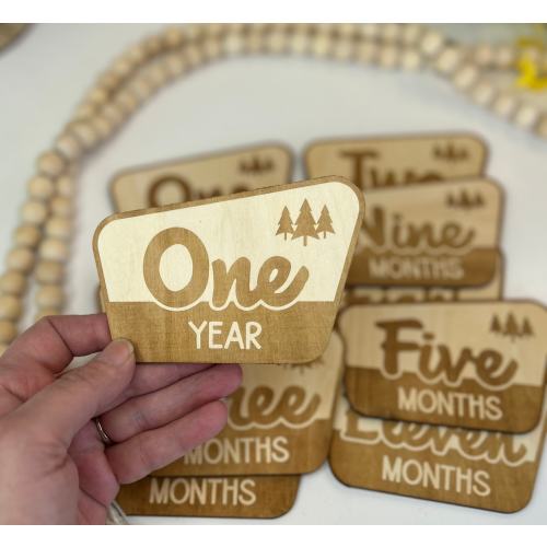 Baby Monthly Milestone Markers, Wood Milestone Disc, Baby Photo Props, Baby Milestone Blocks, Mountain Baby's First Year, National Park Baby