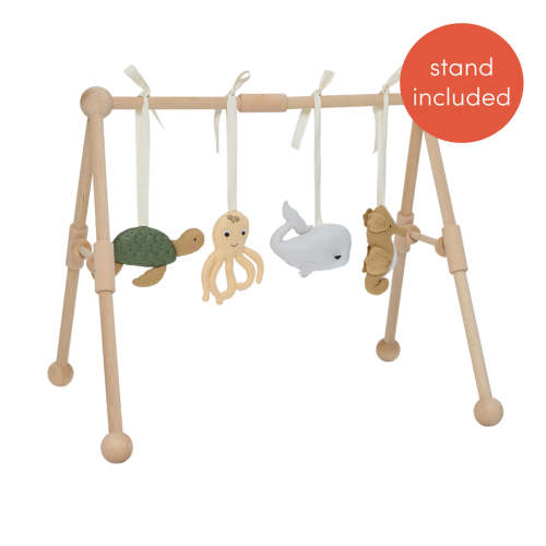 Frame & Activity Gym Toy Set - Underwater – roomi and me