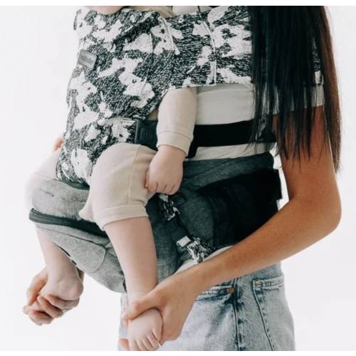 2-in-1 Convertible Carrier