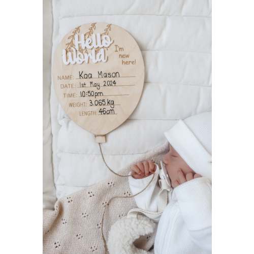 Birth Announcement Plaque - Hello World Balloon | 3 Little Crowns