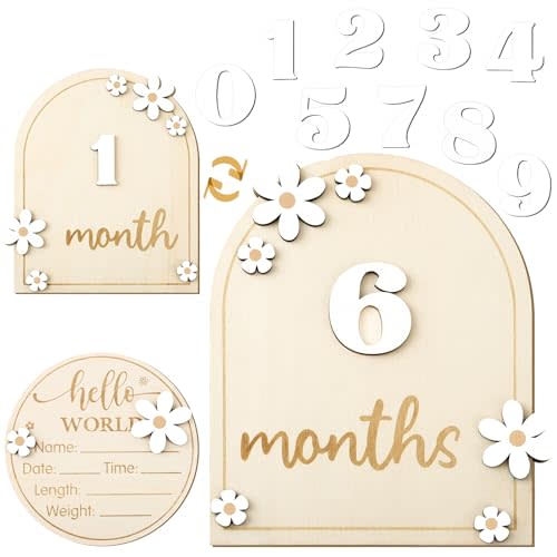 Baby Monthly Milestone Cards with Hello World Newborn Sign, Daisy Baby Milestone Signs Baby Monthly Milestone Wood Discs Baby Announcement Sign for Baby Growth Photo Props