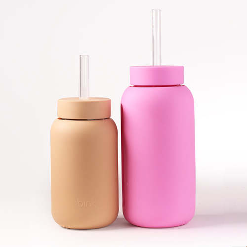 Glass Straws (2 Pack)