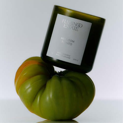 Roma Heirloom Tomato Candle – Green & Peppery Scent | Flamingo – Flamingo Estate