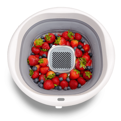 Garrnish Pesticide Purifier 2R Bundle: Fruit and Vegetable Cleaner – garrnish