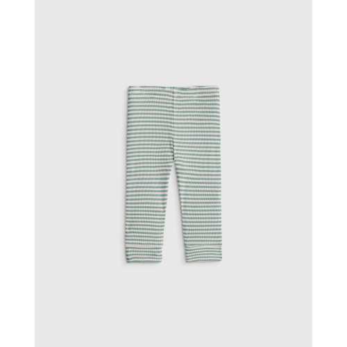 Softest Rib Leggings  in Green Stripe